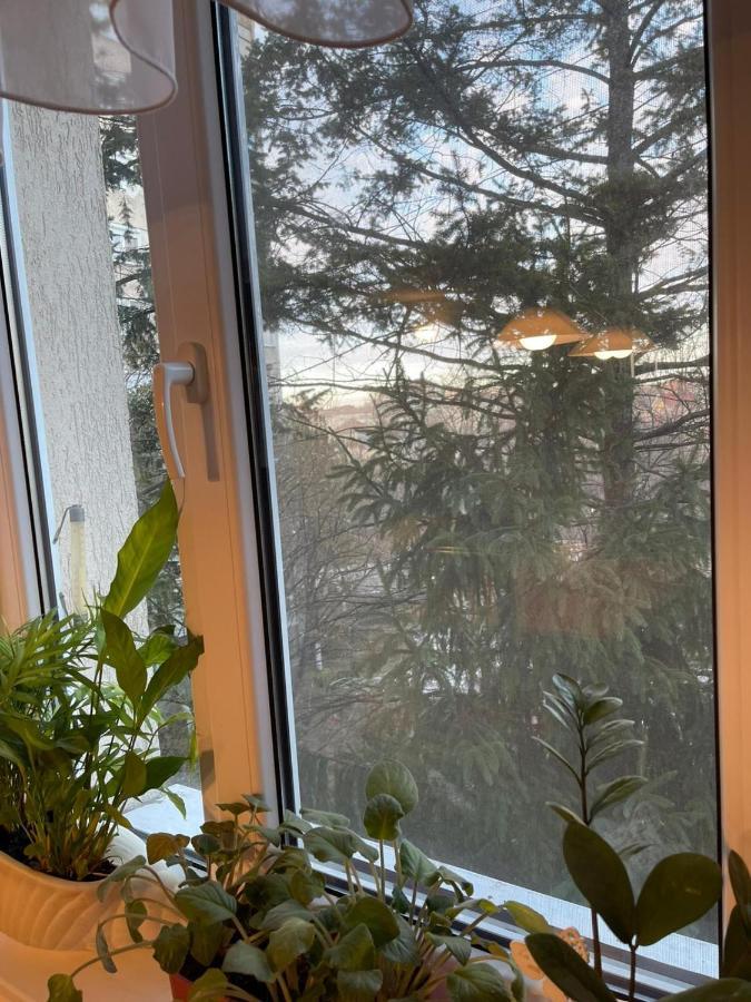 Angels Apartment 오라데아 외부 사진
